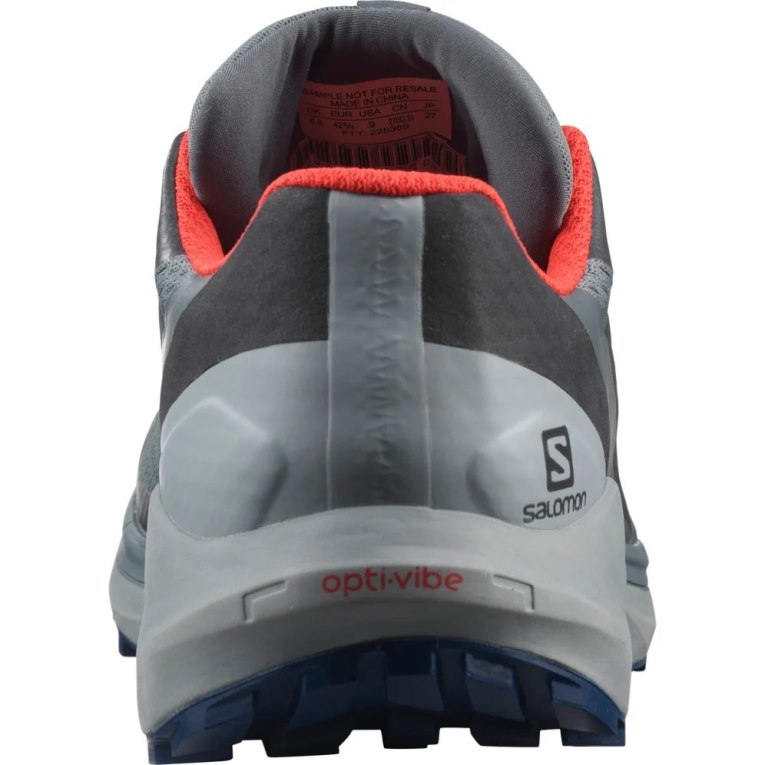 Sapatilhas Trail Running Salomon Sense Ride 4 GTX Invisible Fit Masculino Cinzentas | PT J01329